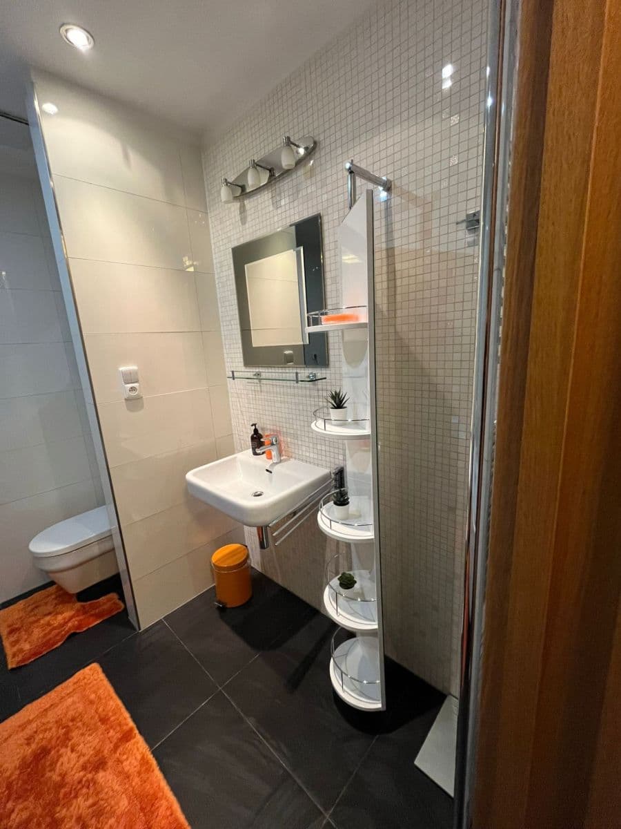 Prenájom bytu 1-izbový 45 m², Uruguayská, Praha, Praha Prenájom bytu 1-izbový 45 m², Uruguayská, Praha, Praha