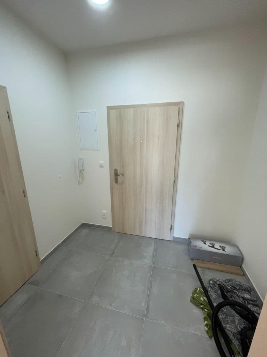 Prenájom bytu 1-izbový 30 m², Starý Dvůr, Hrádek nad Nisou, Liberecký kraj Prenájom bytu 1-izbový 30 m², Starý Dvůr, Hrádek nad Nisou, Liberecký kraj