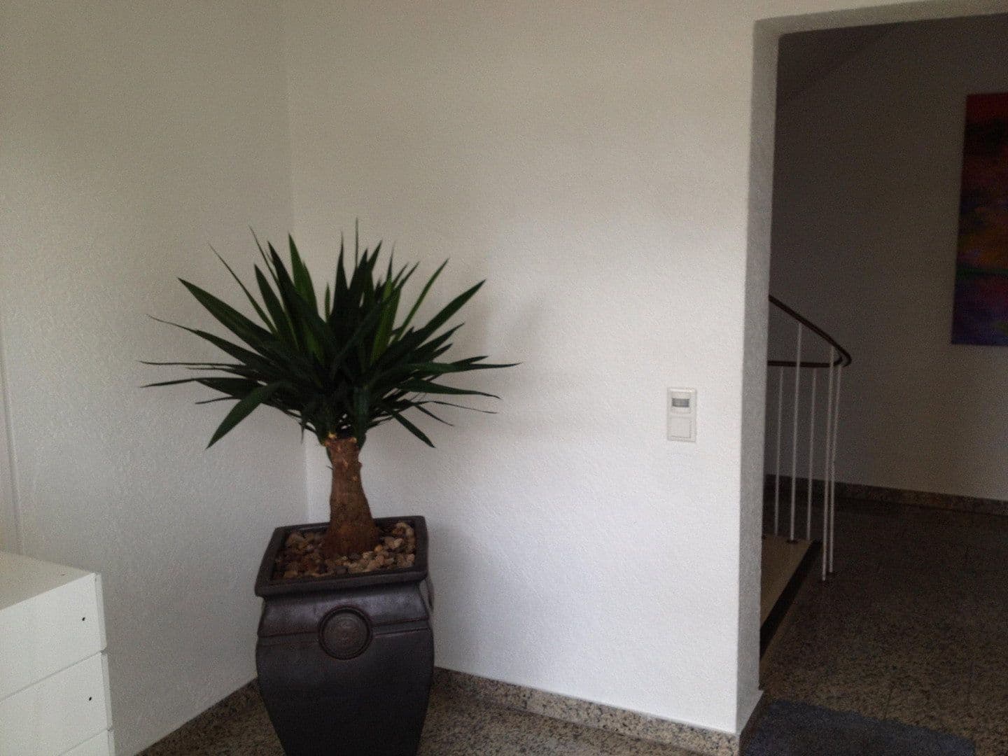 Prenájom bytu 2-izbový 50 m², Unter den Linden 0, Horn-Bad Meinberg, Severné Porýnie - Westfálsko Prenájom bytu 2-izbový 50 m², Unter den Linden 0, Horn-Bad Meinberg, Severné Porýnie - Westfálsko