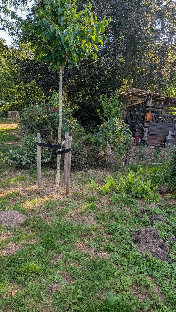 Predaj domu 144 m², pozemok 1.416 m², Hennef (Sieg), Severné Porýnie - Westfálsko Predaj domu 144 m², pozemok 1.416 m², Hennef (Sieg), Severné Porýnie - Westfálsko