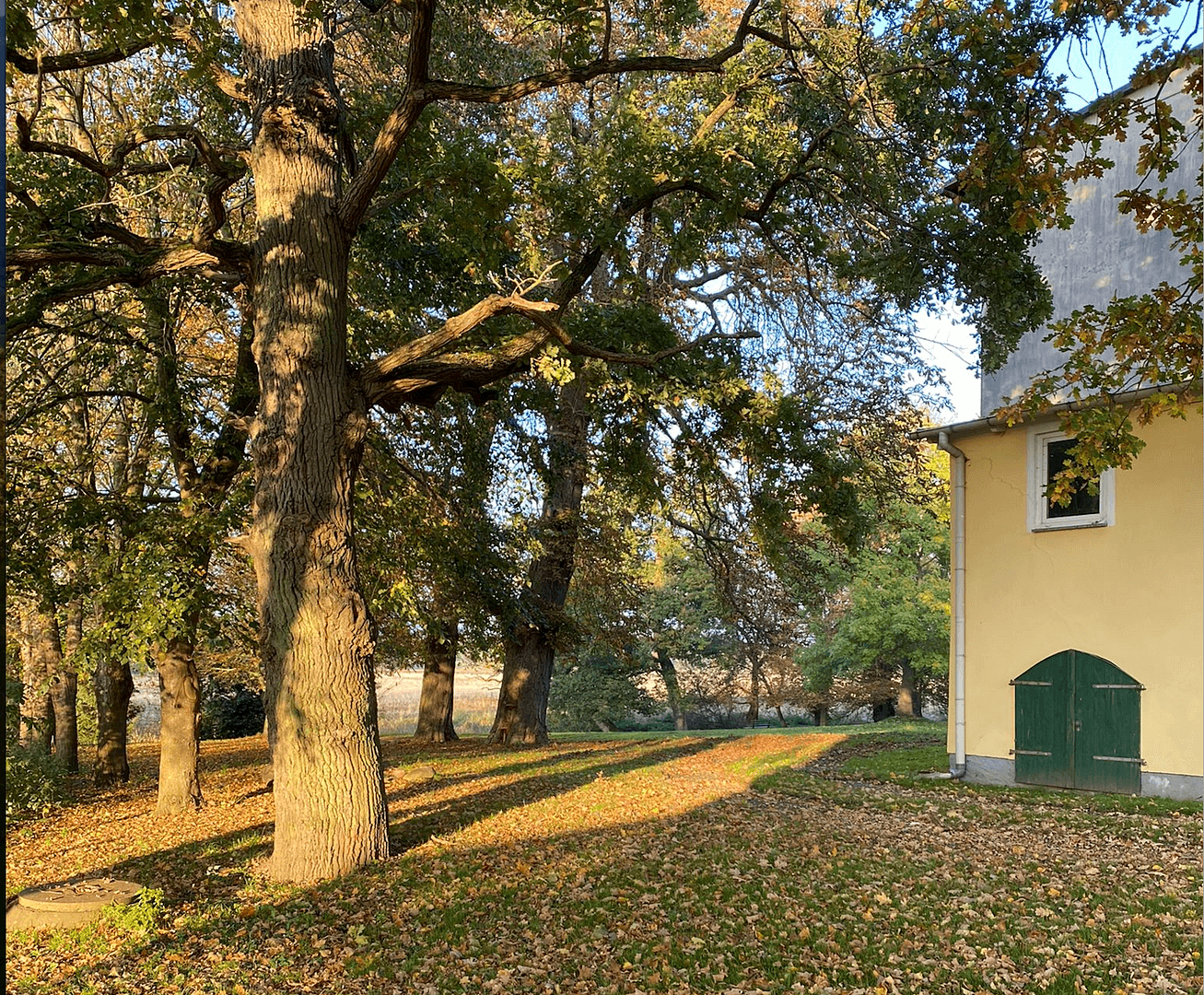 Predaj nebytového priestoru 54.900 m², Gransebieth, Meklenbursko-Predpomoransko Predaj nebytového priestoru 54.900 m², Gransebieth, Meklenbursko-Predpomoransko