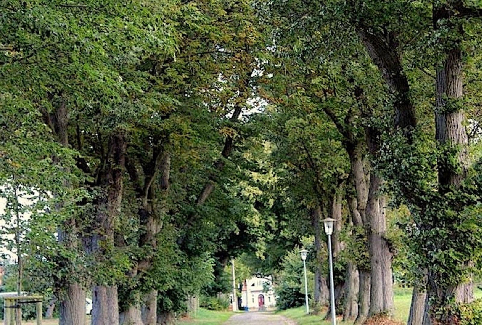 Predaj nebytového priestoru 54.900 m², Gransebieth, Meklenbursko-Predpomoransko Predaj nebytového priestoru 54.900 m², Gransebieth, Meklenbursko-Predpomoransko