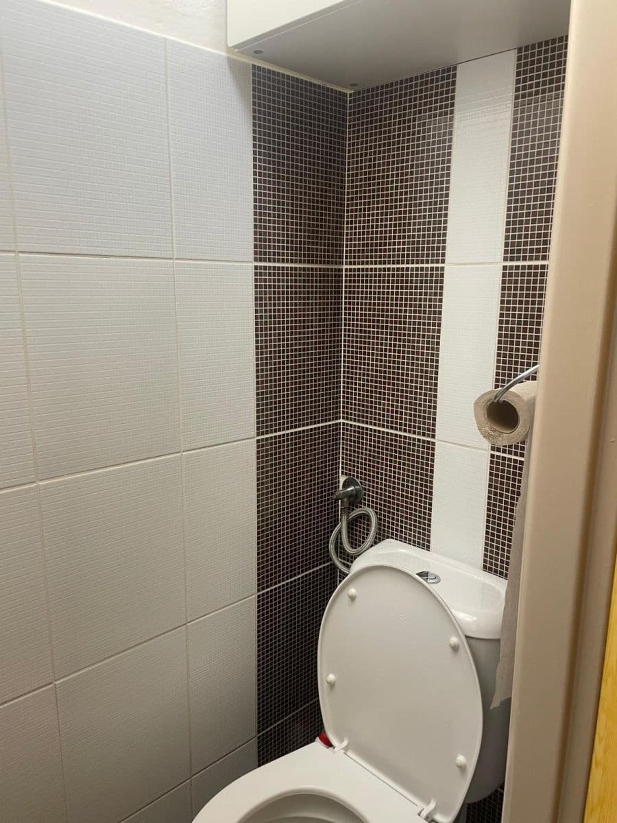 Prenájom bytu 1-izbový 30 m², Kubelíkova, Praha, Praha Prenájom bytu 1-izbový 30 m², Kubelíkova, Praha, Praha
