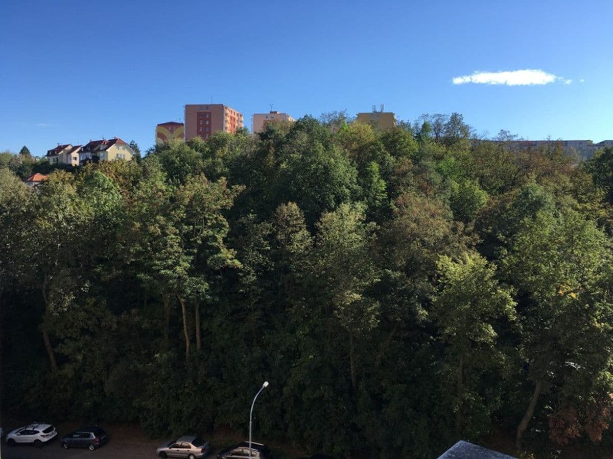 Prenájom bytu 1-izbový 36 m², Ulička, Brno, Jihomoravský kraj Prenájom bytu 1-izbový 36 m², Ulička, Brno, Jihomoravský kraj