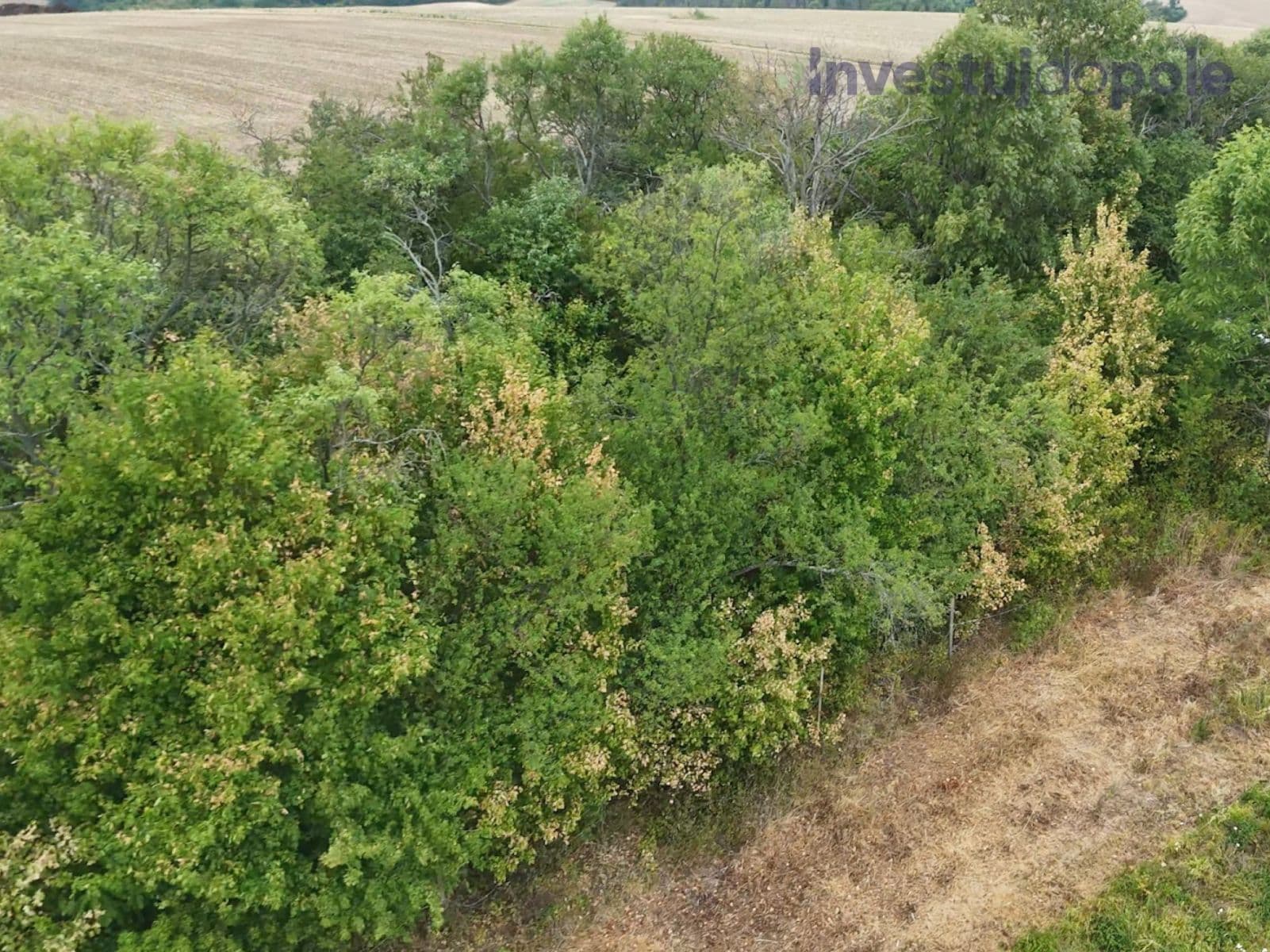 Predaj pozemku 2.259 m², Kunkovice, Zlínský kraj Predaj pozemku 2.259 m², Kunkovice, Zlínský kraj