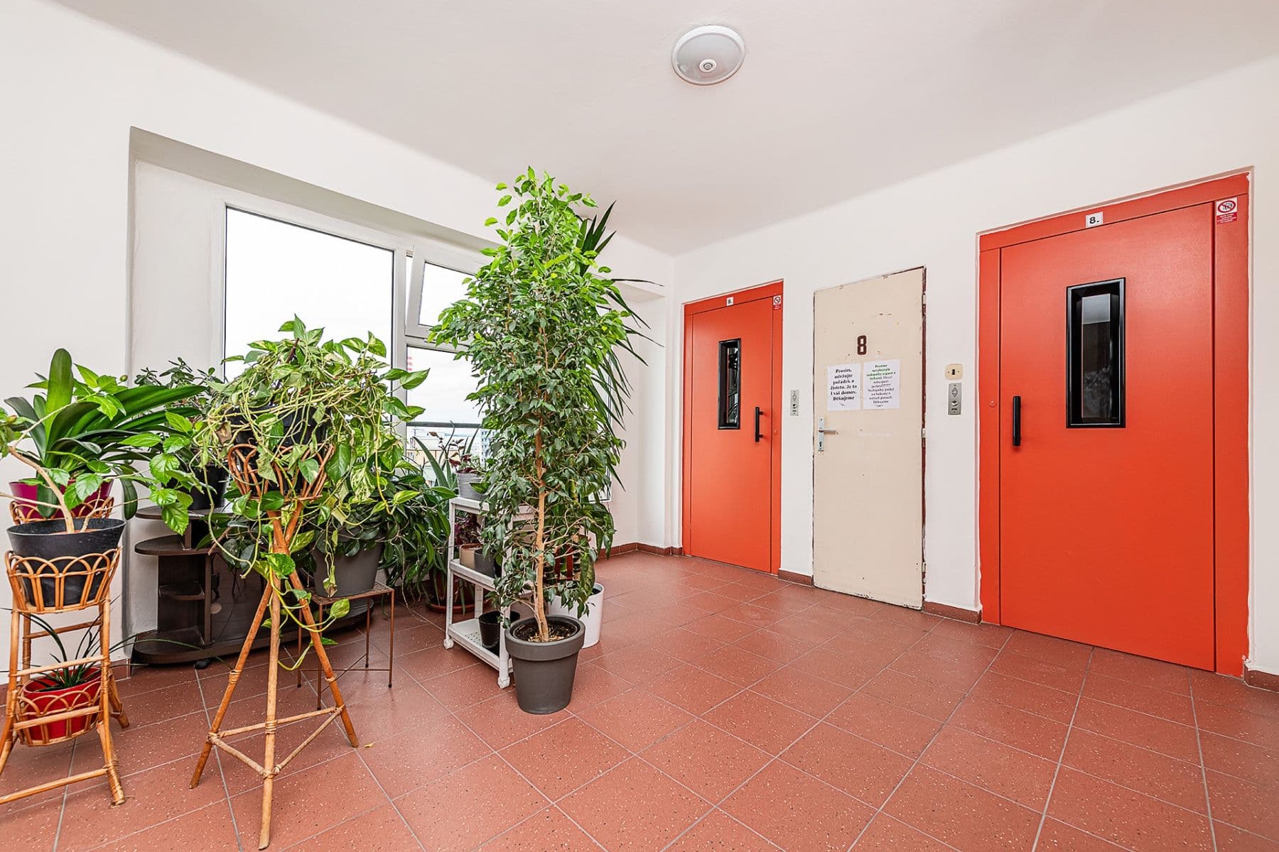 Predaj bytu 1-izbový 36 m², Jičínská, Mladá Boleslav, Středočeský kraj Predaj bytu 1-izbový 36 m², Jičínská, Mladá Boleslav, Středočeský kraj