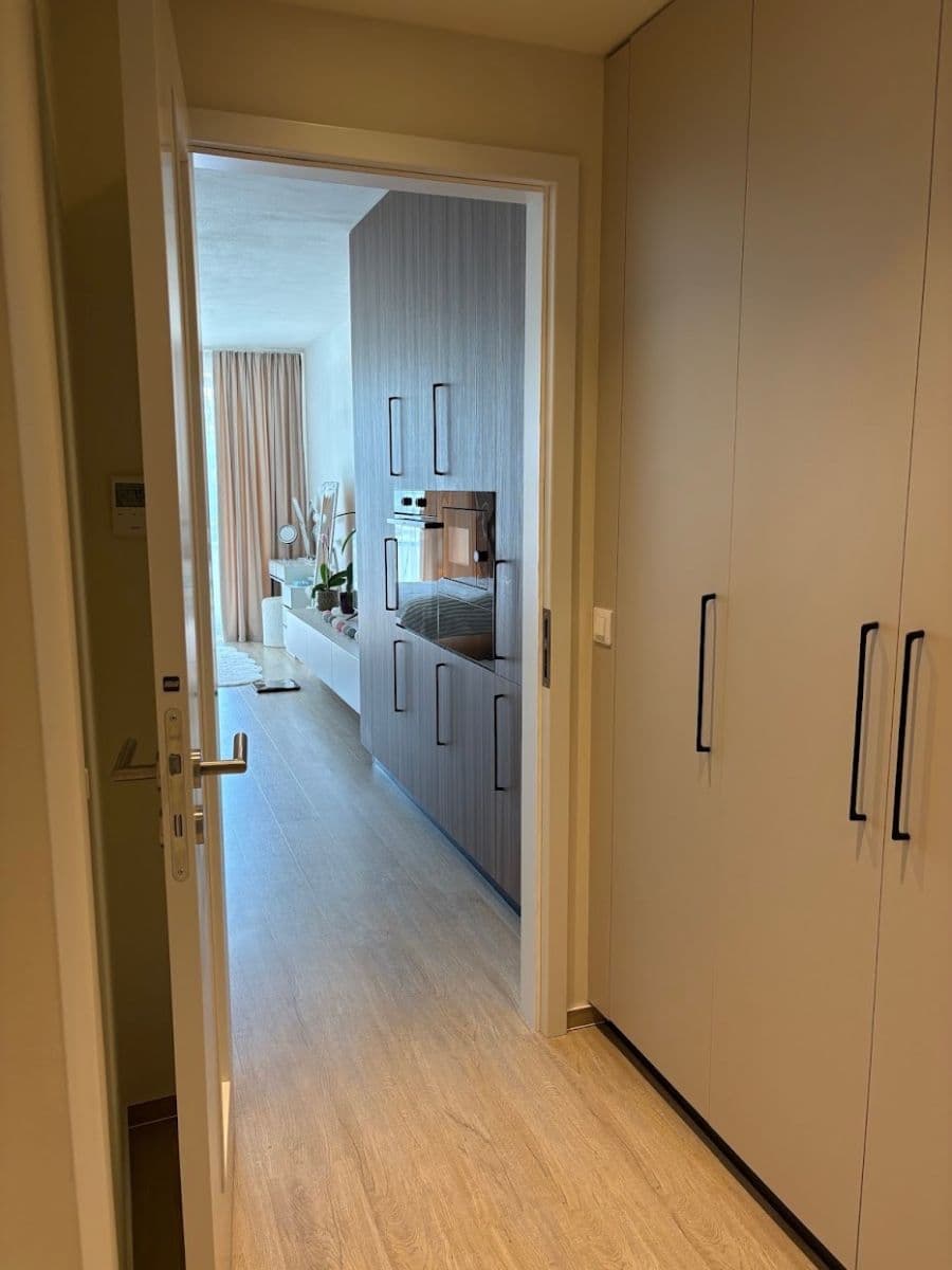 Prenájom bytu 1-izbový 53 m², Sokolova, Brno, Jihomoravský kraj Prenájom bytu 1-izbový 53 m², Sokolova, Brno, Jihomoravský kraj