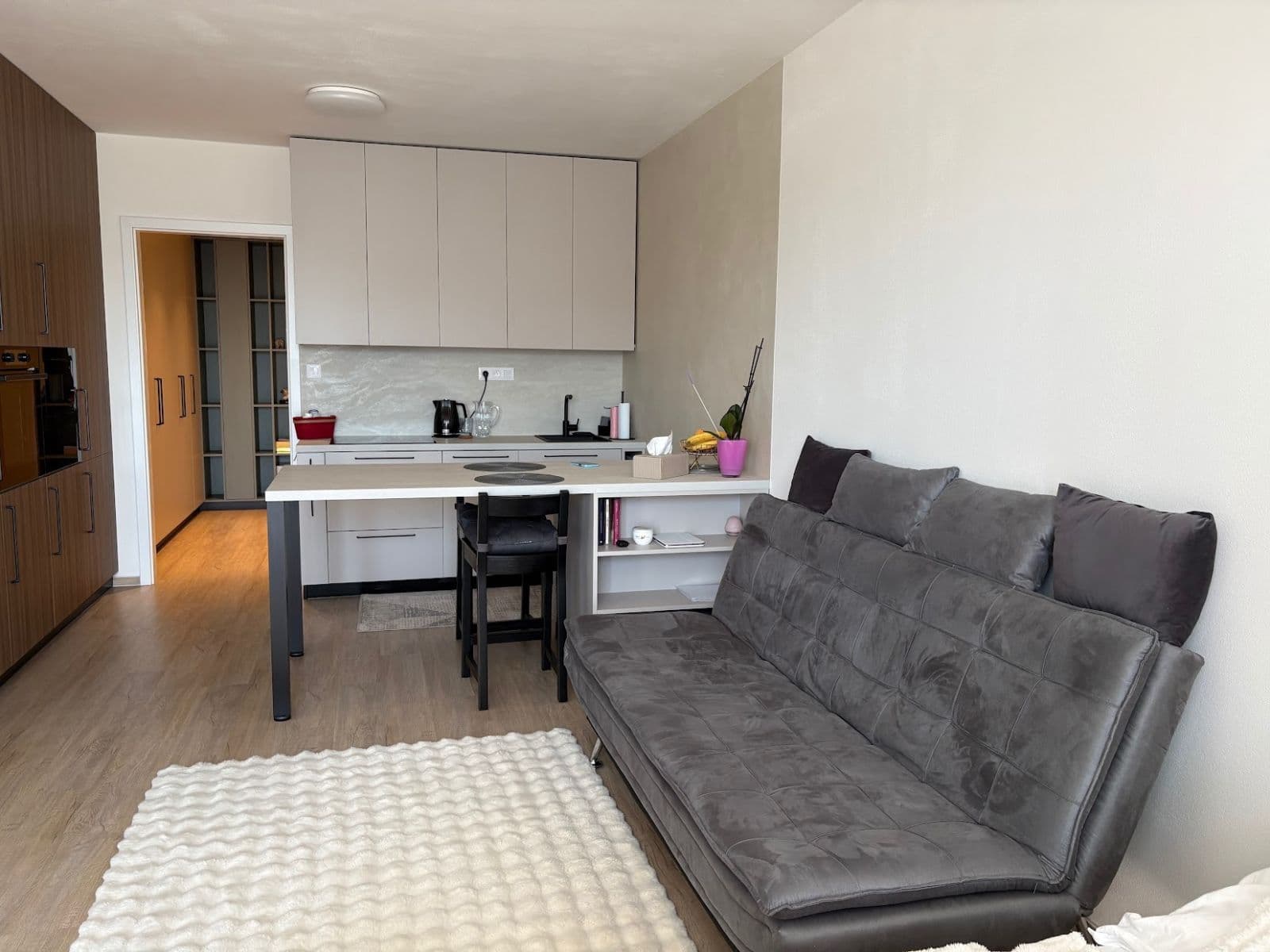 Prenájom bytu 1-izbový 53 m², Sokolova, Brno, Jihomoravský kraj Prenájom bytu 1-izbový 53 m², Sokolova, Brno, Jihomoravský kraj