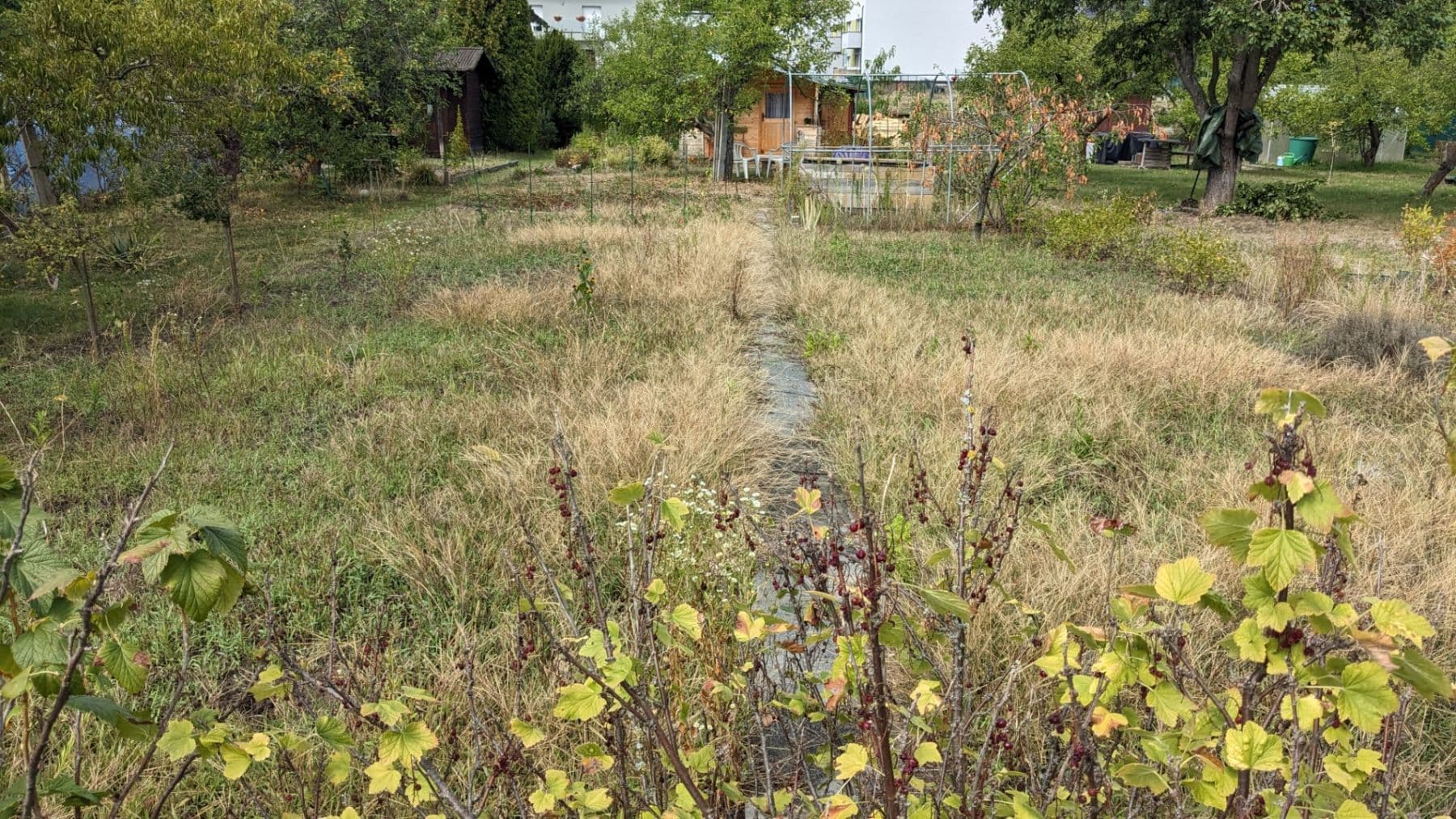 Predaj rekreačného objektu 16 m², pozemok 437 m², Hradec Králové, Královéhradecký kraj Predaj rekreačného objektu 16 m², pozemok 437 m², Hradec Králové, Královéhradecký kraj