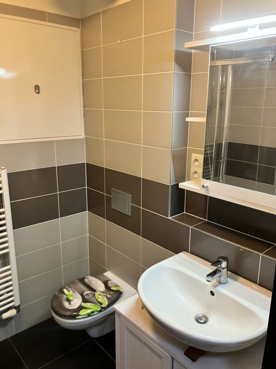 Prenájom bytu 1-izbový 39 m², Rižská, Praha, Praha Prenájom bytu 1-izbový 39 m², Rižská, Praha, Praha