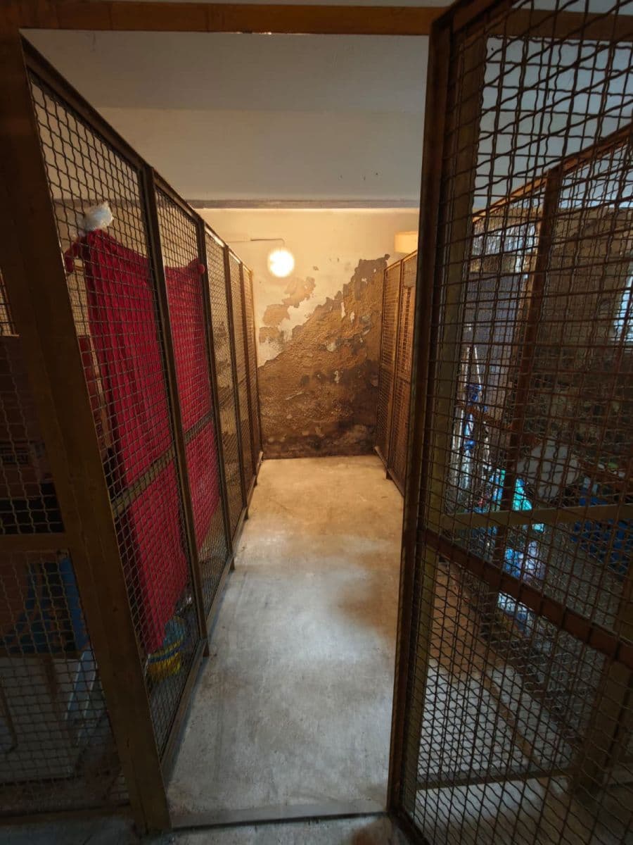 Predaj bytu 1-izbový 34 m², Vrchlického náměstí, Rakovník, Středočeský kraj Predaj bytu 1-izbový 34 m², Vrchlického náměstí, Rakovník, Středočeský kraj