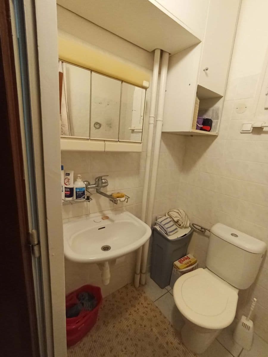 Prenájom bytu 1-izbový 25 m², Botanická, Brno, Jihomoravský kraj Prenájom bytu 1-izbový 25 m², Botanická, Brno, Jihomoravský kraj