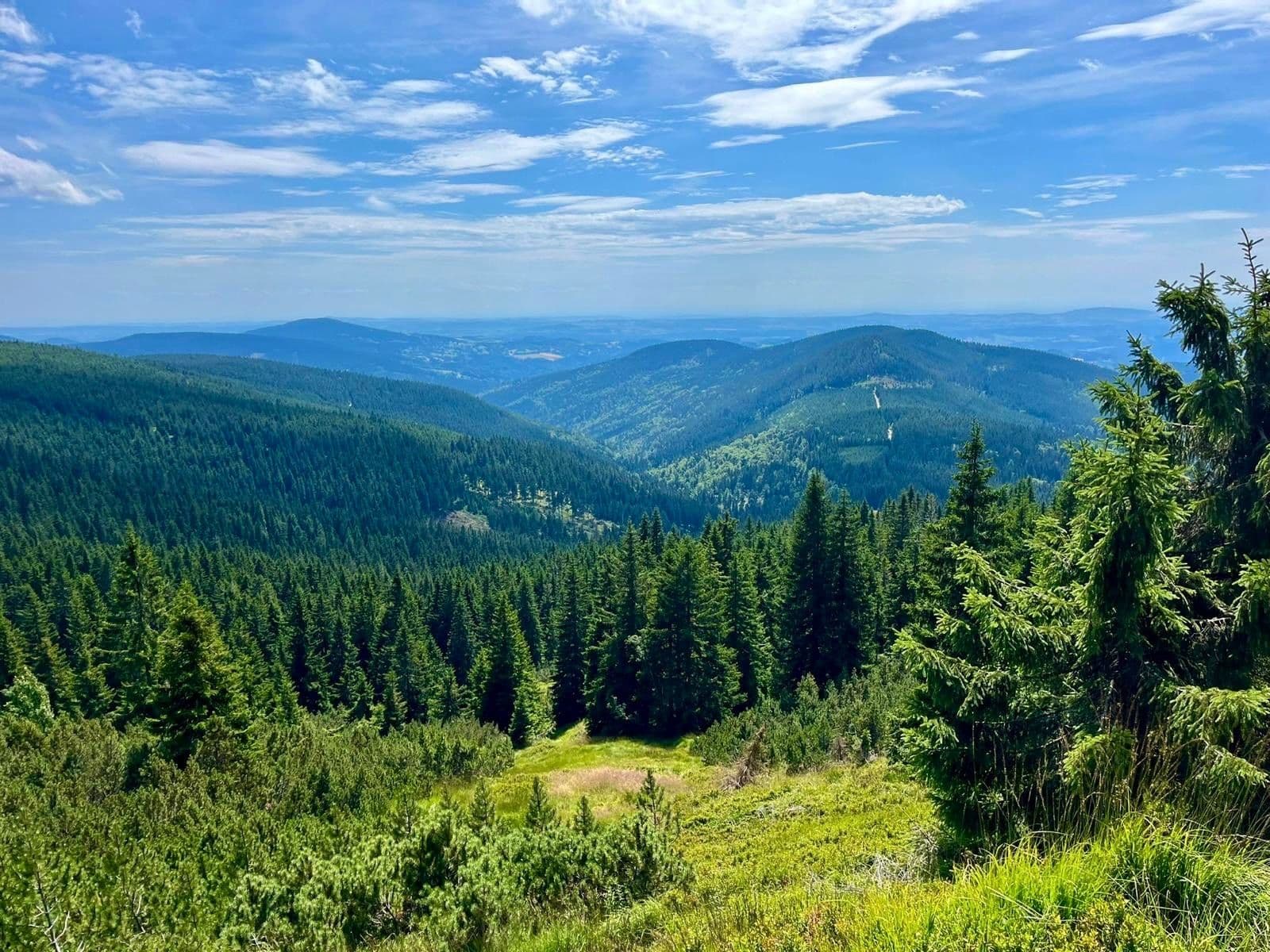 Predaj bytu 3-izbový 80 m², Harrachov, Liberecký kraj Predaj bytu 3-izbový 80 m², Harrachov, Liberecký kraj