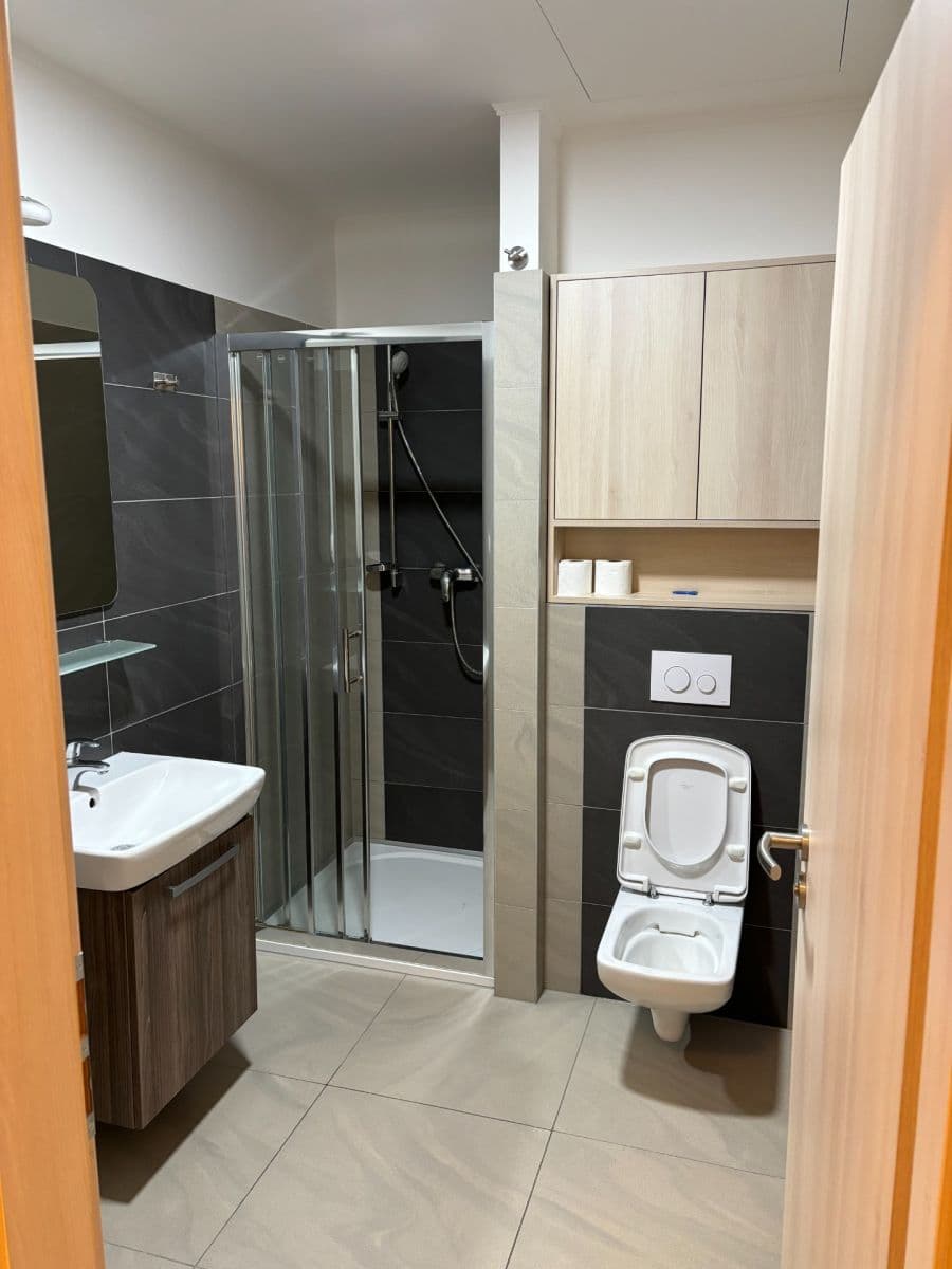 Prenájom bytu 2-izbový 52 m², Přadlácká, Brno, Jihomoravský kraj Prenájom bytu 2-izbový 52 m², Přadlácká, Brno, Jihomoravský kraj