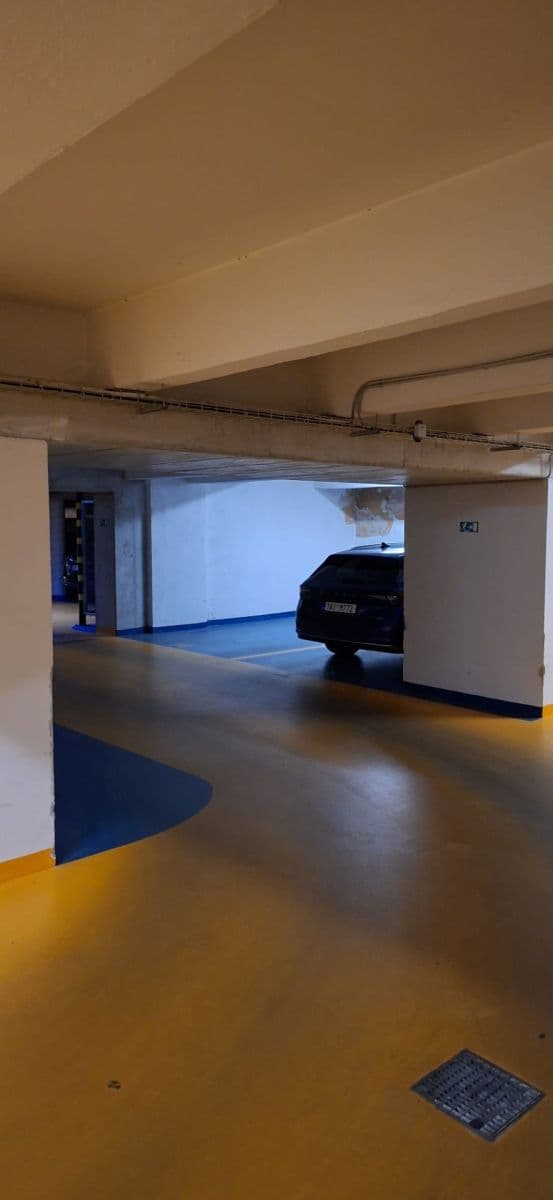 Prenájom garáže 15 m², Rooseveltova, Praha, Praha Prenájom garáže 15 m², Rooseveltova, Praha, Praha