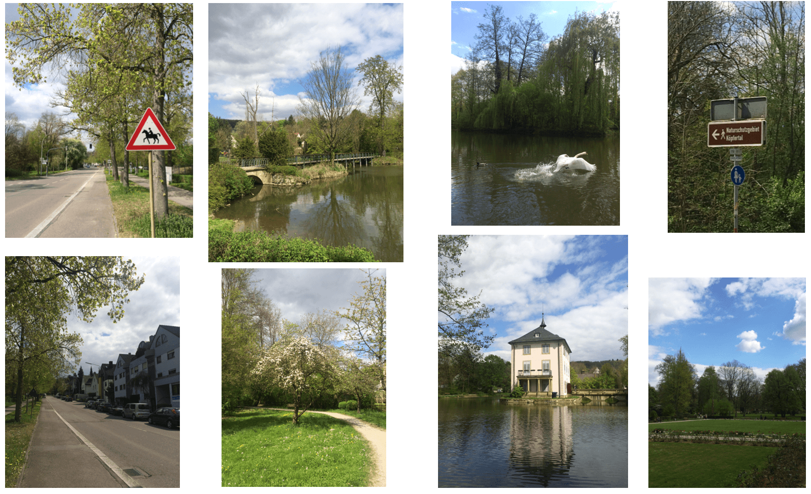 Predaj bytu 3-izbový 64 m², Jägerhausstraße 202, Heilbronn, Bádensko-Wurttembersko Predaj bytu 3-izbový 64 m², Jägerhausstraße 202, Heilbronn, Bádensko-Wurttembersko