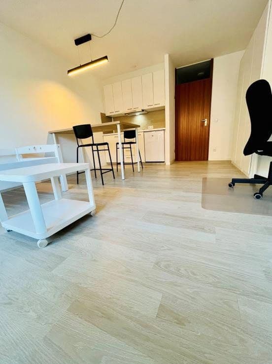 Prenájom bytu 1-izbový 30 m², Zähringerstraße 47, Karlsruhe, Bádensko-Wurttembersko Prenájom bytu 1-izbový 30 m², Zähringerstraße 47, Karlsruhe, Bádensko-Wurttembersko