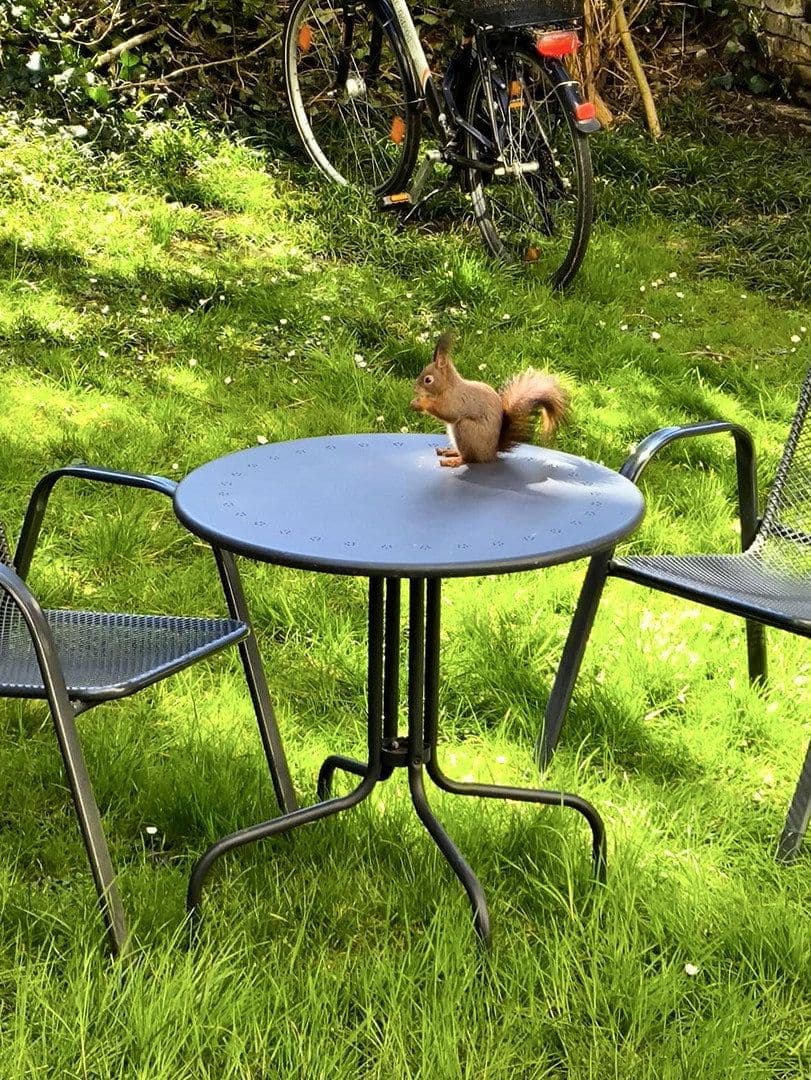 Prenájom bytu 2-izbový 47 m², Frankenallee 201, Frankfurt a. M., Hesensko Prenájom bytu 2-izbový 47 m², Frankenallee 201, Frankfurt a. M., Hesensko