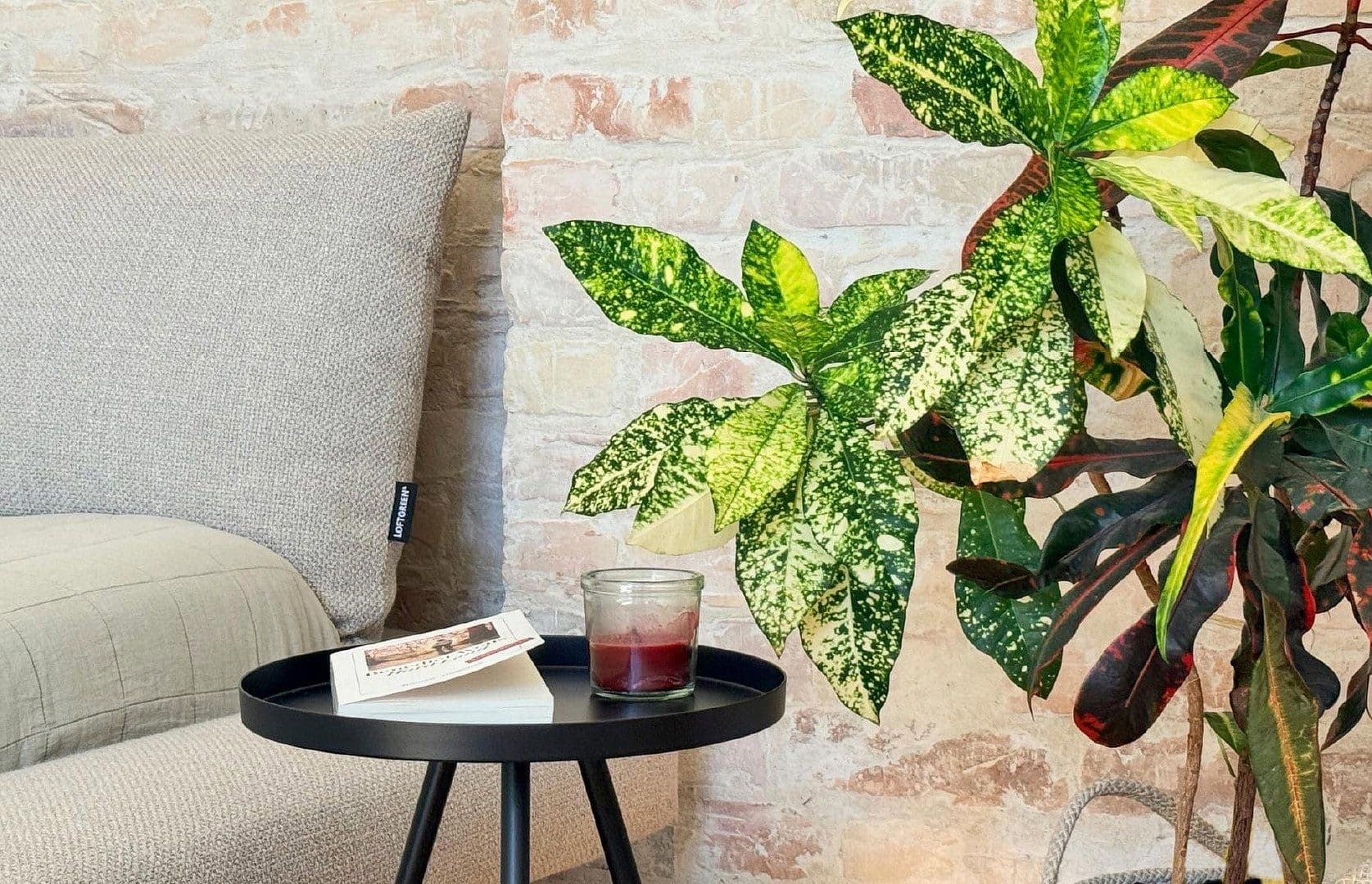 Predaj bytu 1-izbový 42 m², Chodowieckistr. 29, Berlin, Berlín Predaj bytu 1-izbový 42 m², Chodowieckistr. 29, Berlin, Berlín
