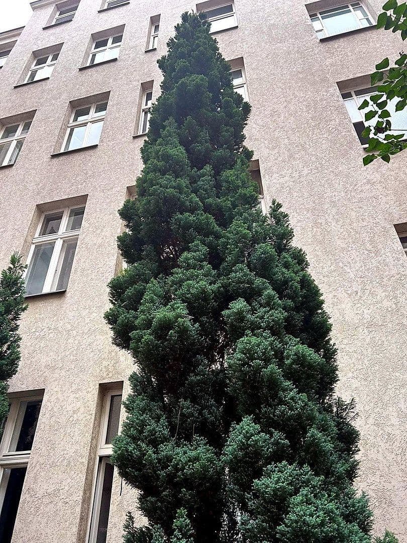 Prenájom bytu 1-izbový 42 m², Berlin, Berlín Prenájom bytu 1-izbový 42 m², Berlin, Berlín