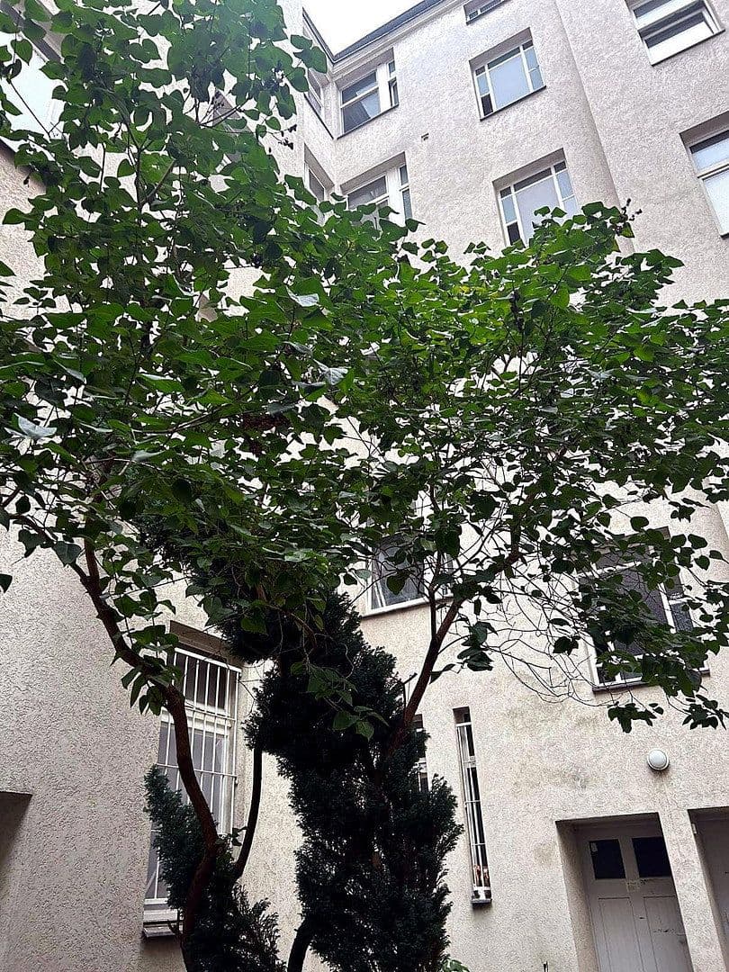 Prenájom bytu 1-izbový 42 m², Berlin, Berlín Prenájom bytu 1-izbový 42 m², Berlin, Berlín