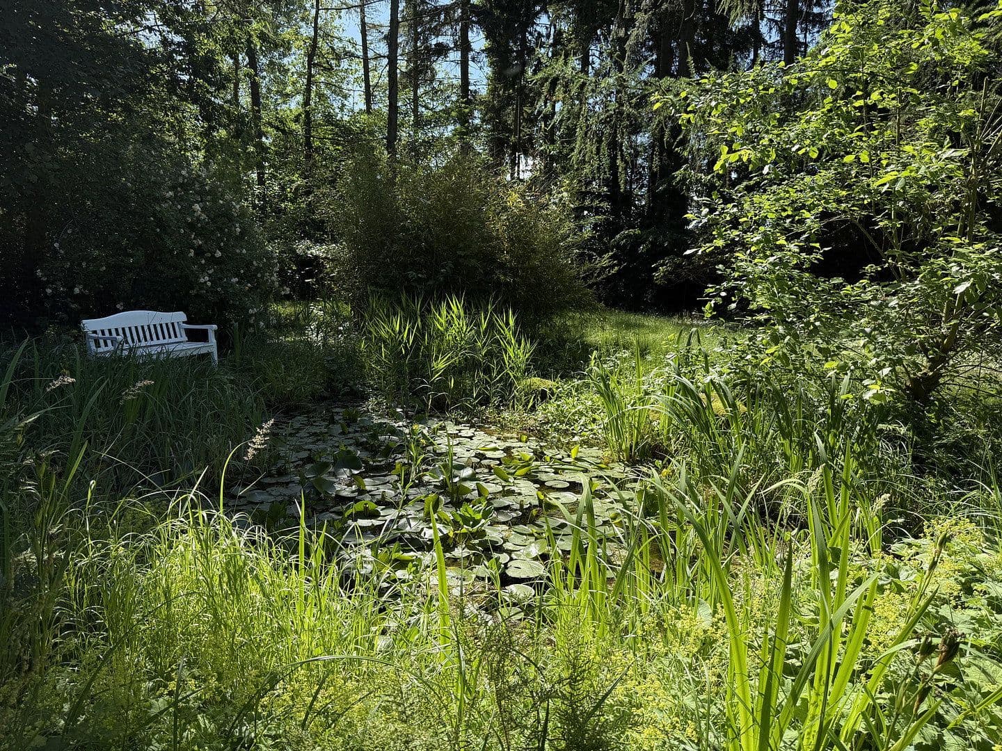 Predaj domu 199 m², pozemok 2.479 m², Lensahn, Šlezvicko-Holštajnsko Predaj domu 199 m², pozemok 2.479 m², Lensahn, Šlezvicko-Holštajnsko