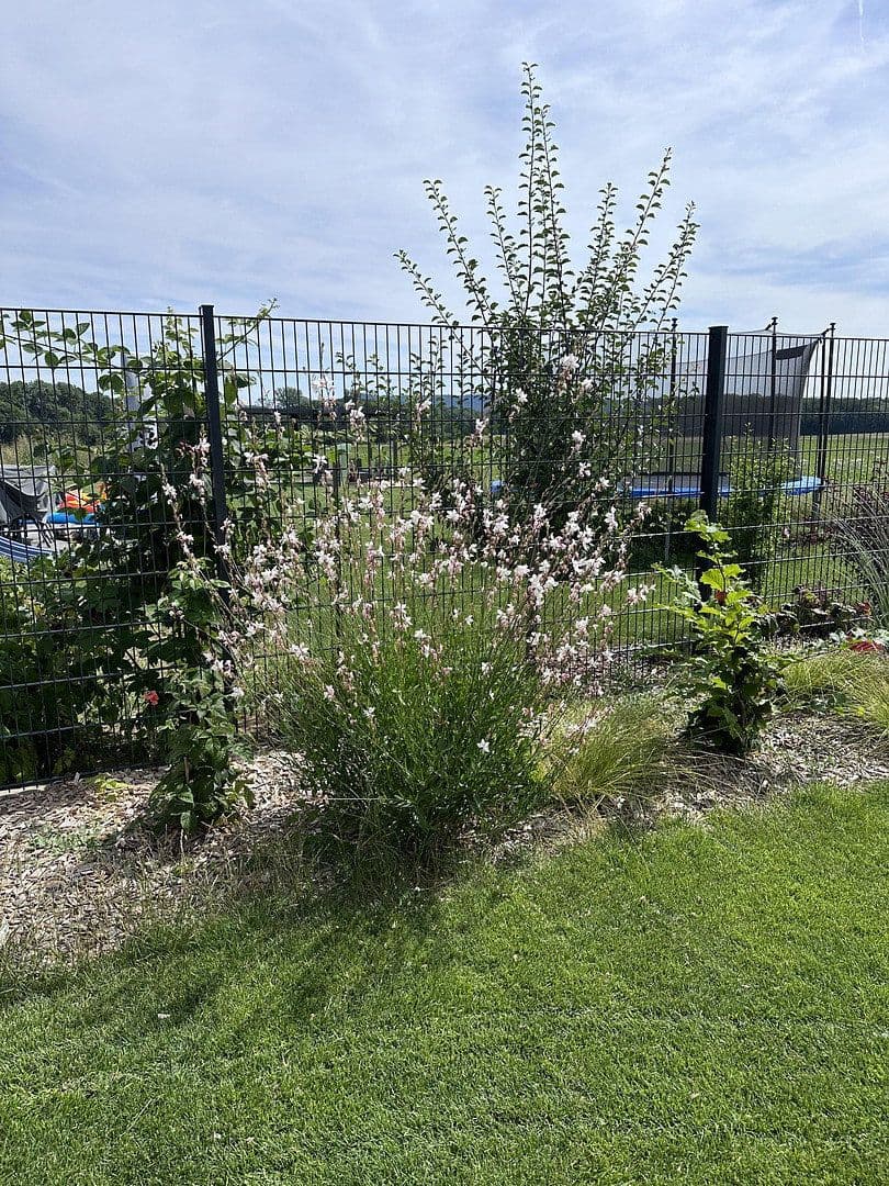 Predaj domu 157 m², pozemok 737 m², Sulzheim, Bavorsko Predaj domu 157 m², pozemok 737 m², Sulzheim, Bavorsko