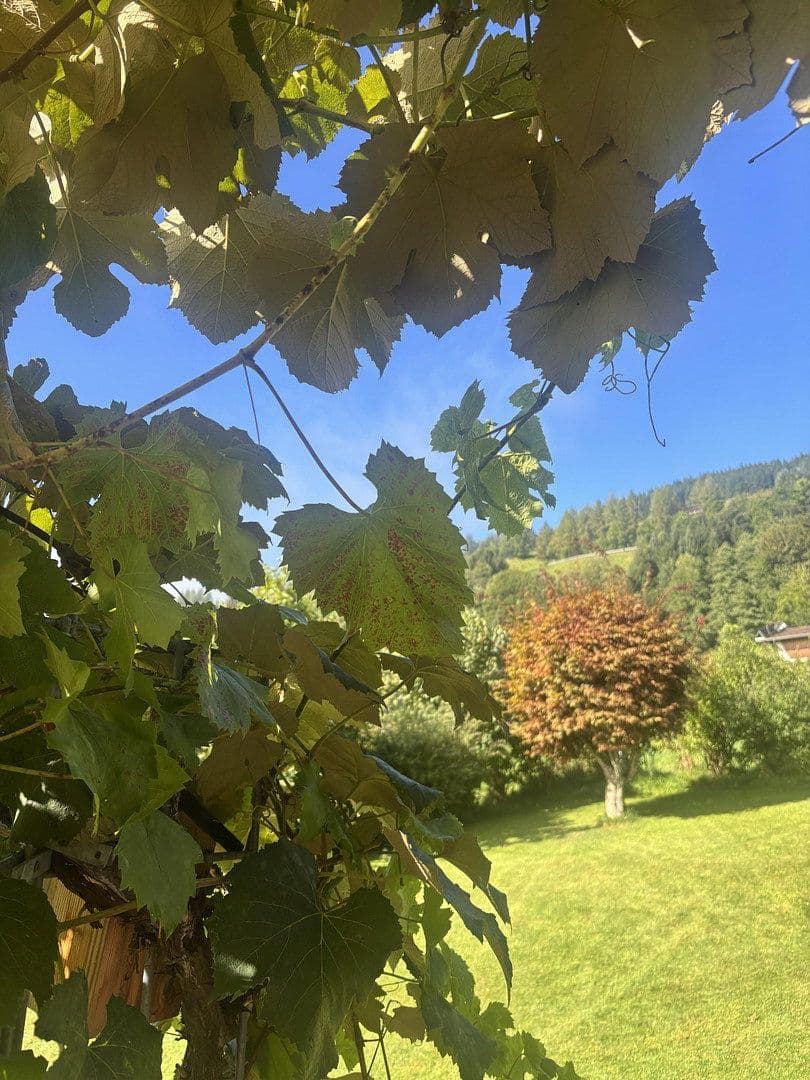 Prenájom bytu 4-izbový 120 m², Jochberg, Tirolsko Prenájom bytu 4-izbový 120 m², Jochberg, Tirolsko
