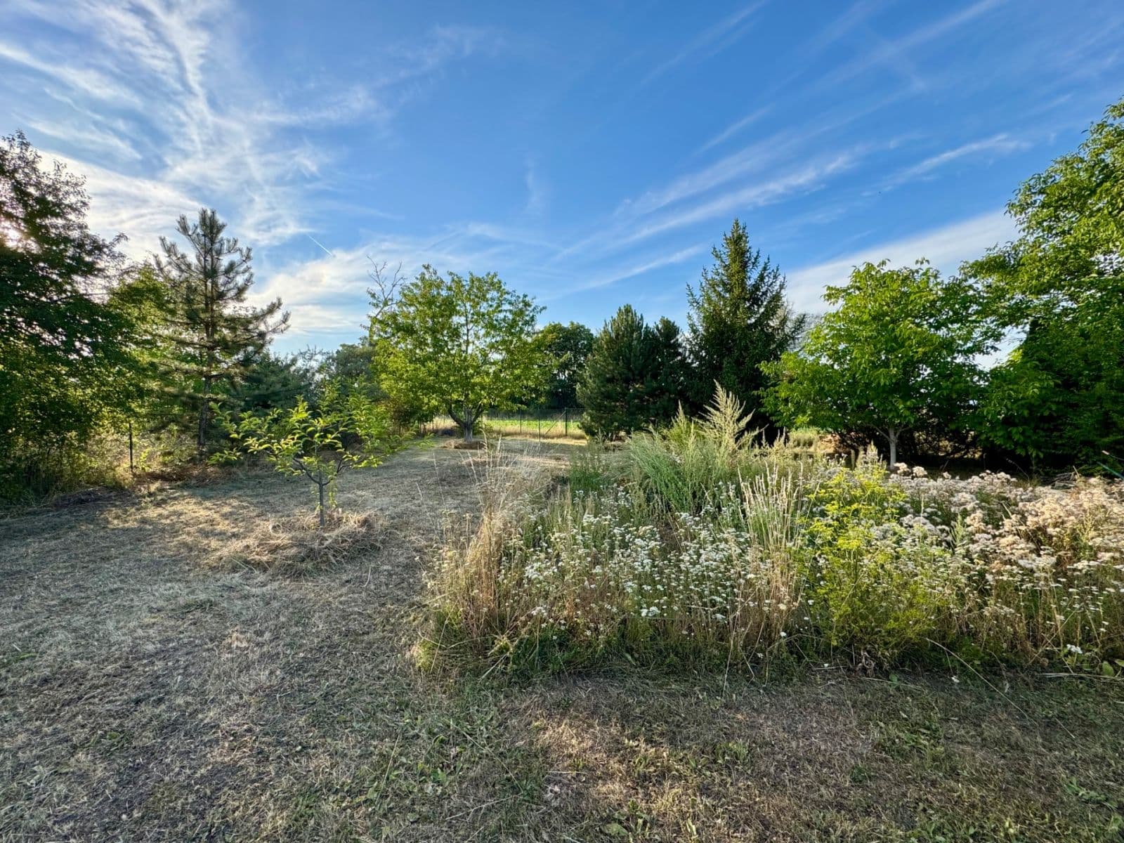 Predaj pozemku 1.466 m², Drahanovice, Olomoucký kraj Predaj pozemku 1.466 m², Drahanovice, Olomoucký kraj