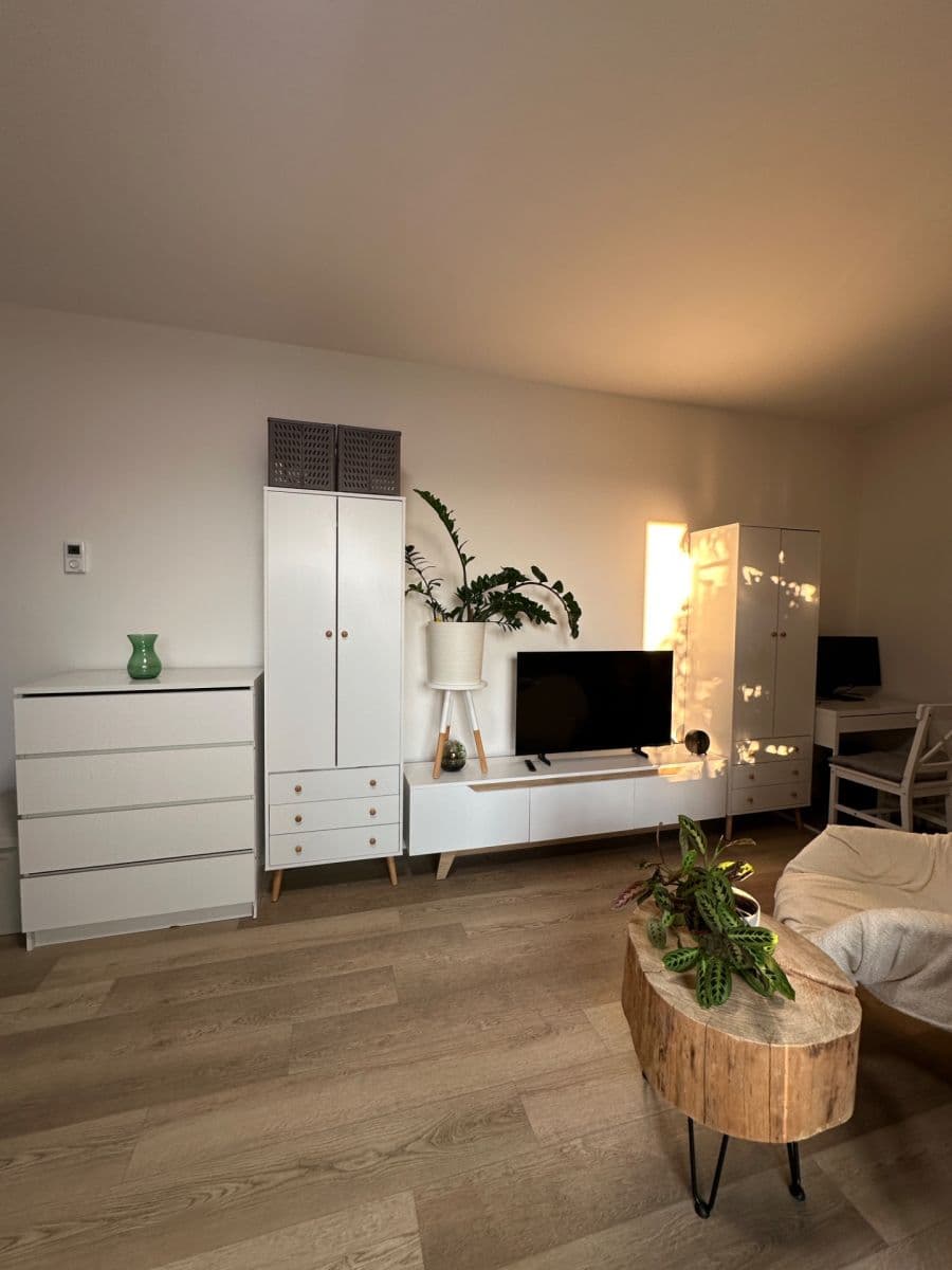 Prenájom bytu 1-izbový 36 m², Na Křtaltě, Zábřeh, Olomoucký kraj Prenájom bytu 1-izbový 36 m², Na Křtaltě, Zábřeh, Olomoucký kraj