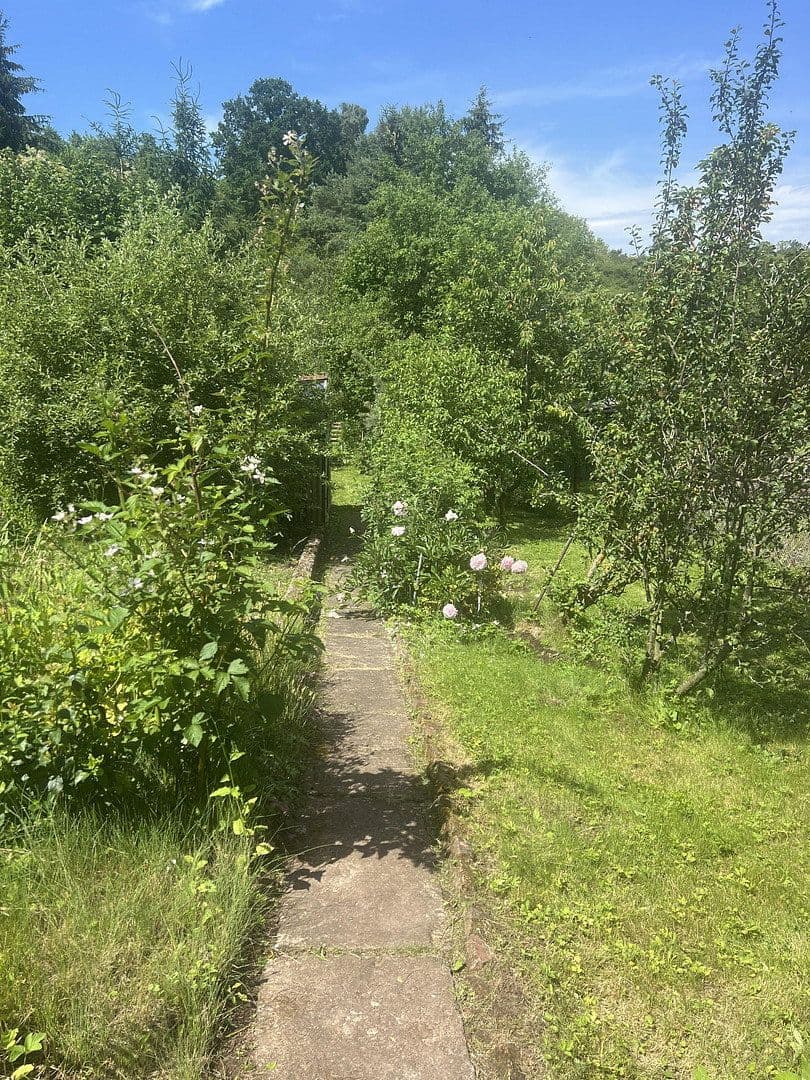 Predaj domu 115 m², pozemok 1.042 m², Harztor, Durínsko Predaj domu 115 m², pozemok 1.042 m², Harztor, Durínsko