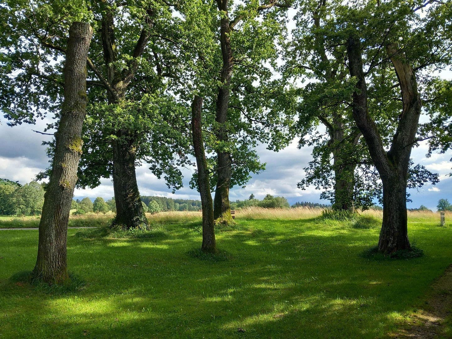 Predaj bytu 3-izbový 93 m², Bad Wörishofen, Bavorsko Predaj bytu 3-izbový 93 m², Bad Wörishofen, Bavorsko