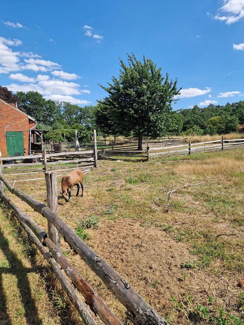 Predaj domu 290 m², pozemok 4.718 m², Gehlbergen 2, Bruchhausen-Vilsen, Dolné Sasko Predaj domu 290 m², pozemok 4.718 m², Gehlbergen 2, Bruchhausen-Vilsen, Dolné Sasko