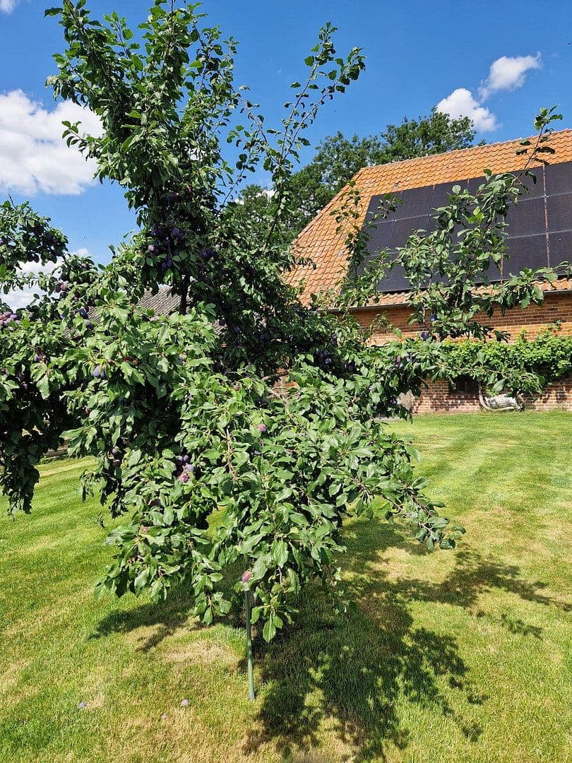 Predaj domu 290 m², pozemok 4.718 m², Gehlbergen 2, Bruchhausen-Vilsen, Dolné Sasko Predaj domu 290 m², pozemok 4.718 m², Gehlbergen 2, Bruchhausen-Vilsen, Dolné Sasko