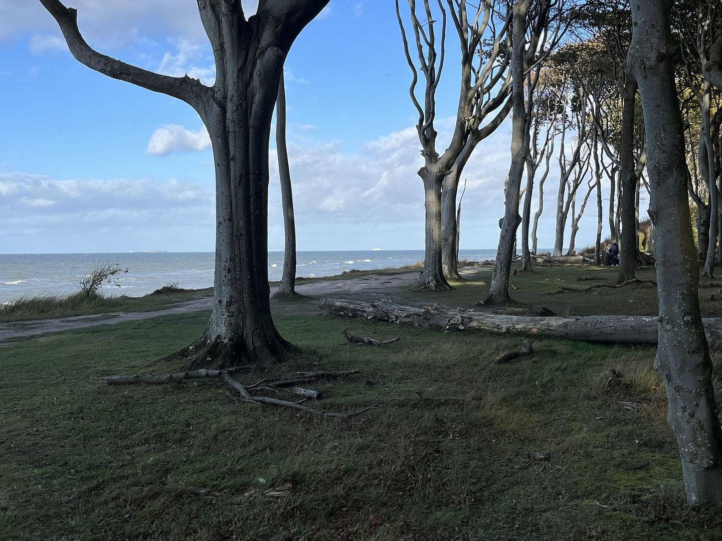 Predaj bytu 2-izbový 60 m², Strandstr 24, Nienhagen, Meklenbursko-Predpomoransko Predaj bytu 2-izbový 60 m², Strandstr 24, Nienhagen, Meklenbursko-Predpomoransko