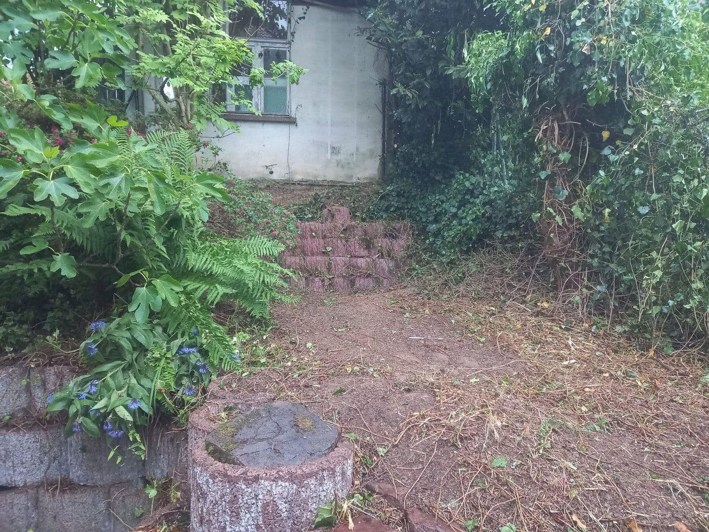 Prenájom bytu 120 m², Bammental, Bádensko-Wurttembersko Prenájom bytu 120 m², Bammental, Bádensko-Wurttembersko
