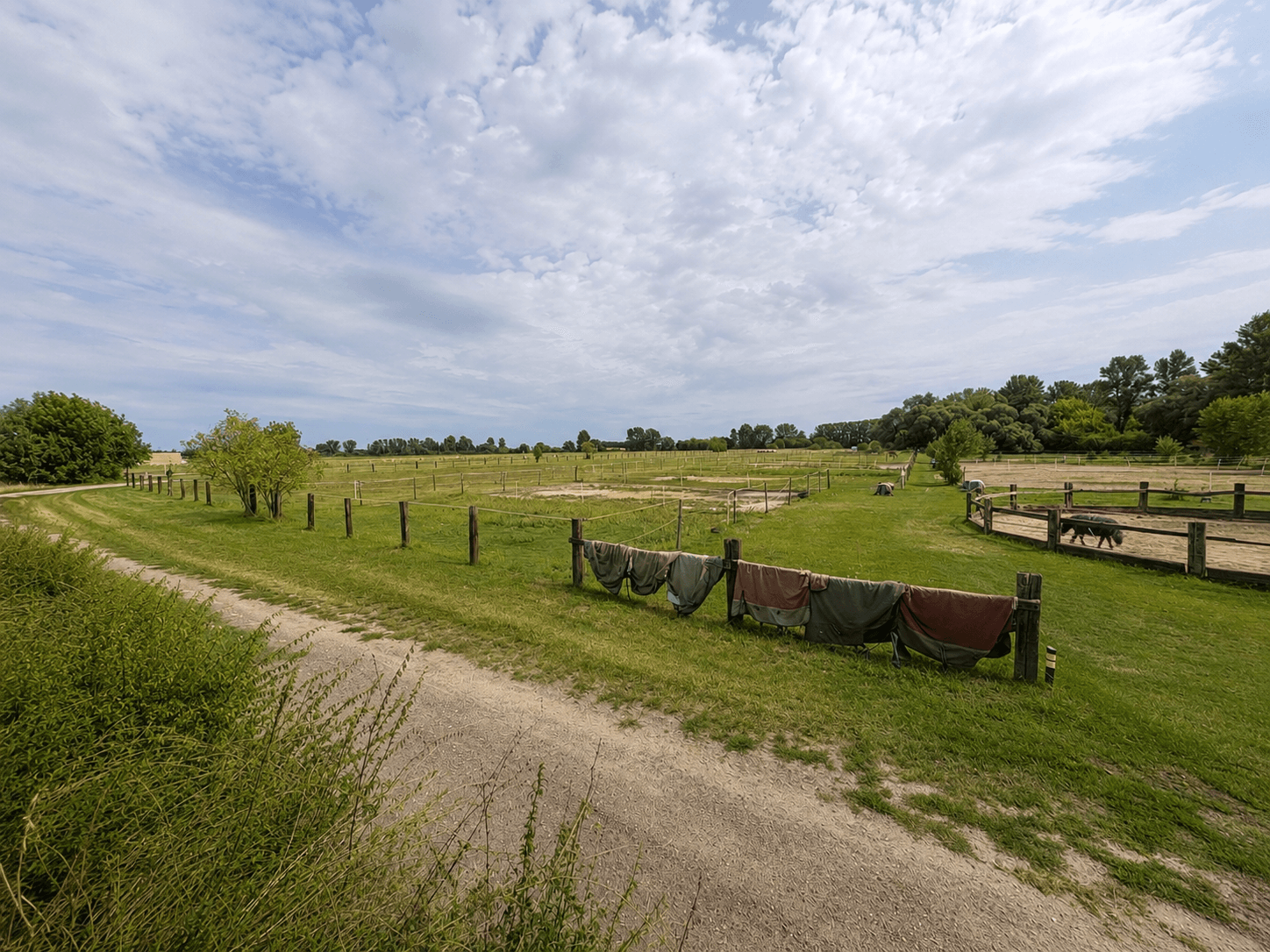 Predaj domu 220 m², pozemok 8.800 m², Kostomlaty nad Labem, Středočeský kraj Predaj domu 220 m², pozemok 8.800 m², Kostomlaty nad Labem, Středočeský kraj