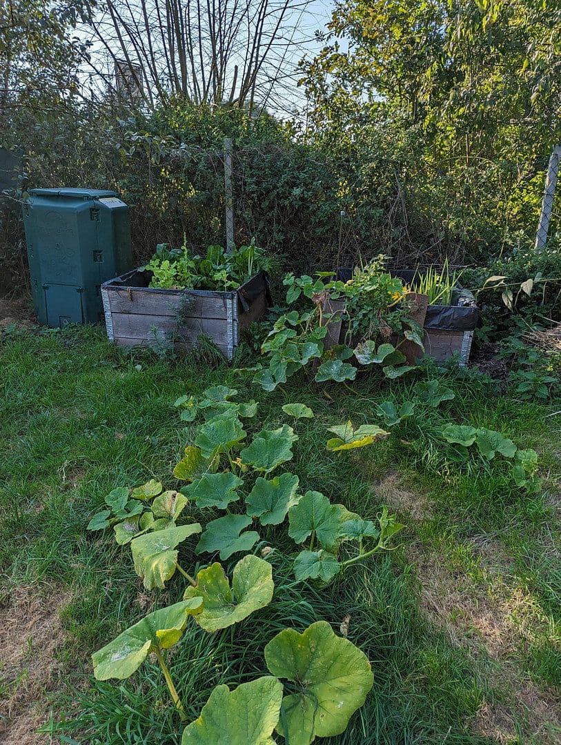 Predaj domu 95 m², pozemok 1.385 m², Bramstedtlund, Šlezvicko-Holštajnsko Predaj domu 95 m², pozemok 1.385 m², Bramstedtlund, Šlezvicko-Holštajnsko