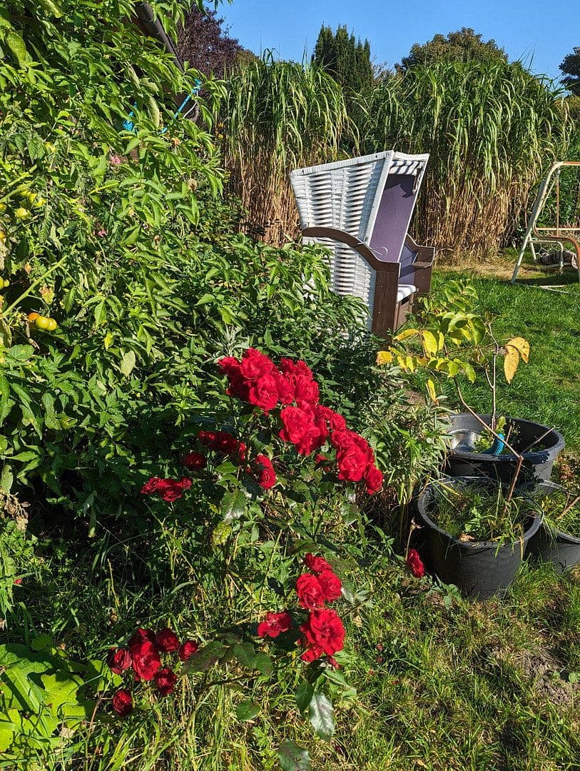 Predaj domu 95 m², pozemok 1.385 m², Bramstedtlund, Šlezvicko-Holštajnsko Predaj domu 95 m², pozemok 1.385 m², Bramstedtlund, Šlezvicko-Holštajnsko