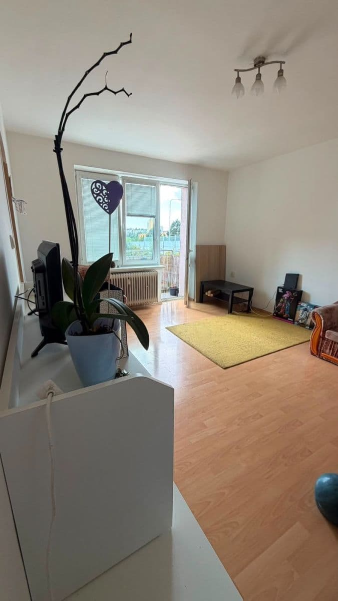 Prenájom bytu 2-izbový 54 m², Svatopluka Čecha, Brno, Jihomoravský kraj Prenájom bytu 2-izbový 54 m², Svatopluka Čecha, Brno, Jihomoravský kraj