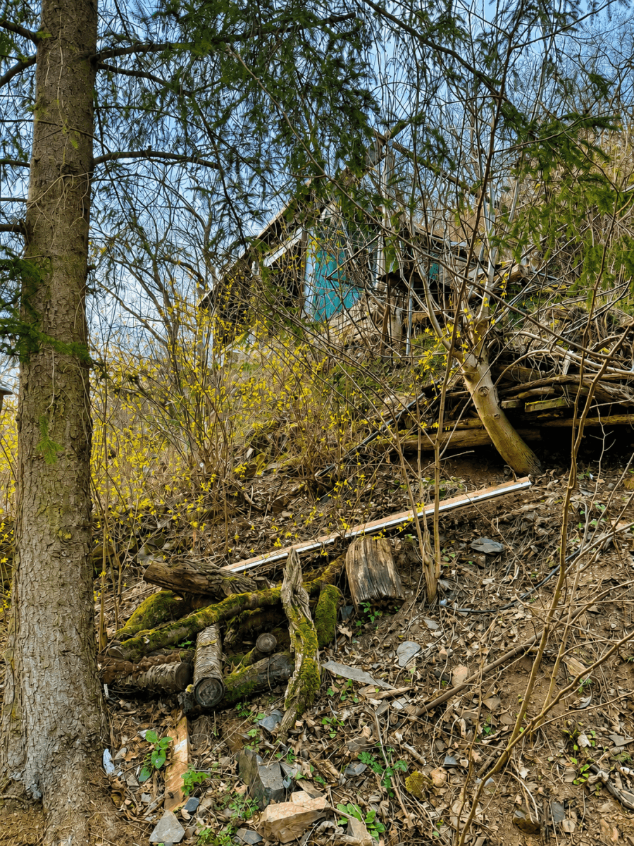 Predaj rekreačného objektu 32 m², pozemok 1.313 m², Draháňské údolí, Zdiby, Středočeský kraj Predaj rekreačného objektu 32 m², pozemok 1.313 m², Draháňské údolí, Zdiby, Středočeský kraj