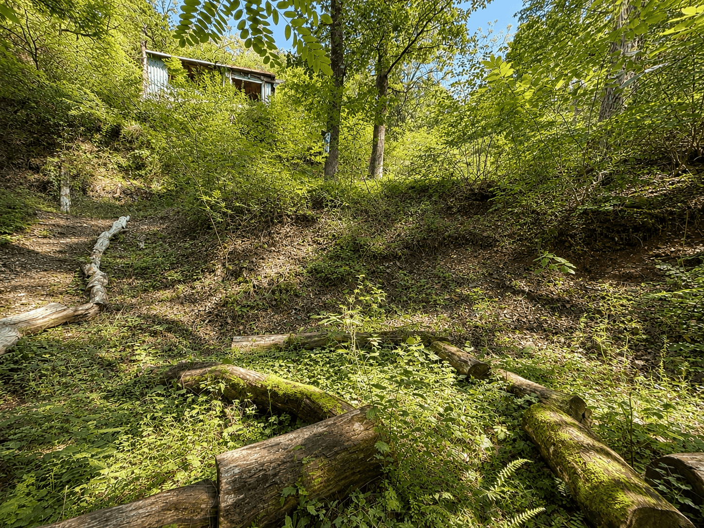 Predaj rekreačného objektu 32 m², pozemok 1.313 m², Draháňské údolí, Zdiby, Středočeský kraj Predaj rekreačného objektu 32 m², pozemok 1.313 m², Draháňské údolí, Zdiby, Středočeský kraj