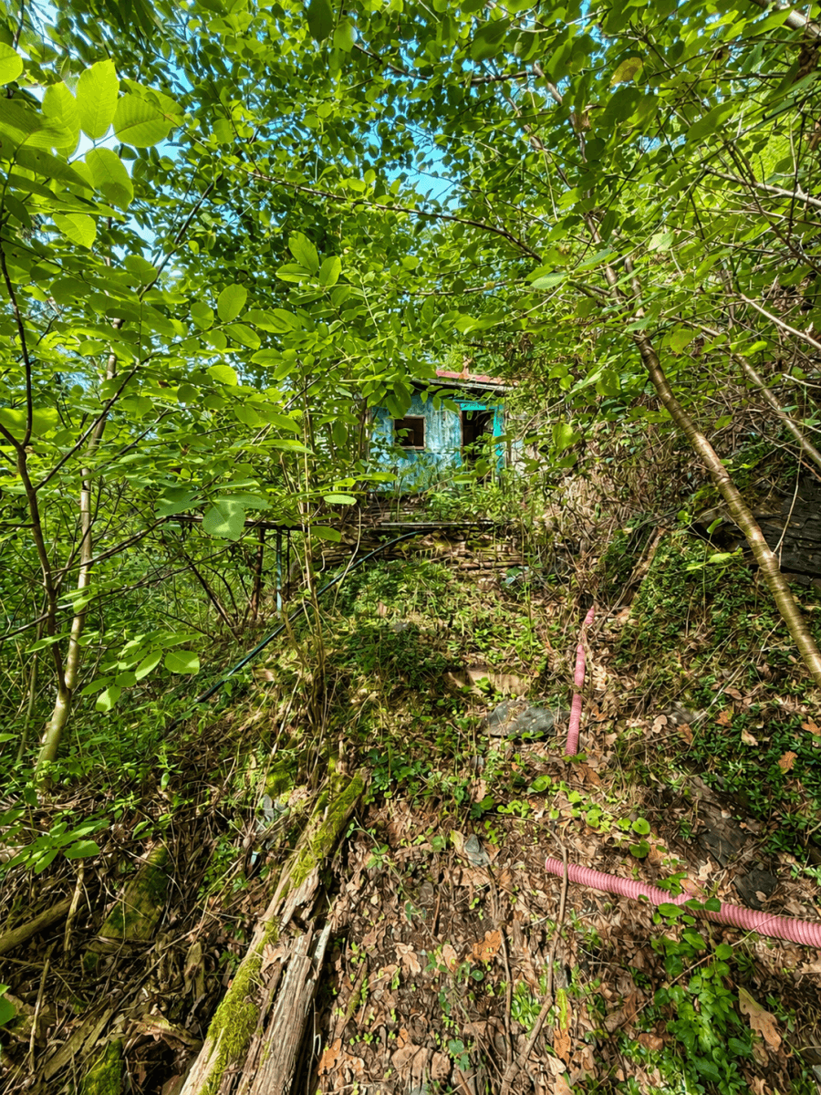 Predaj rekreačného objektu 32 m², pozemok 1.313 m², Draháňské údolí, Zdiby, Středočeský kraj Predaj rekreačného objektu 32 m², pozemok 1.313 m², Draháňské údolí, Zdiby, Středočeský kraj