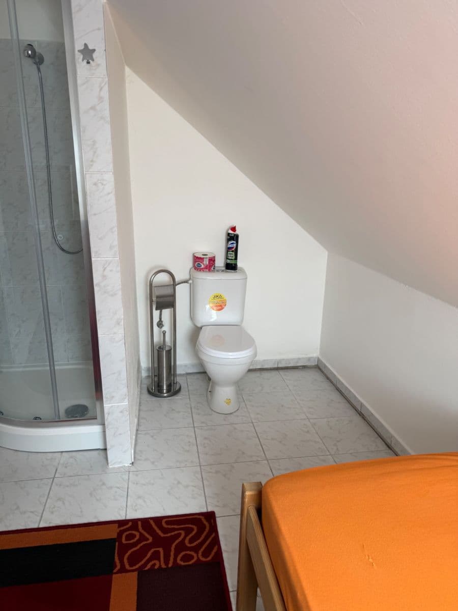 Prenájom bytu 1-izbový 18 m², V Podlískách, Braškov, Středočeský kraj Prenájom bytu 1-izbový 18 m², V Podlískách, Braškov, Středočeský kraj
