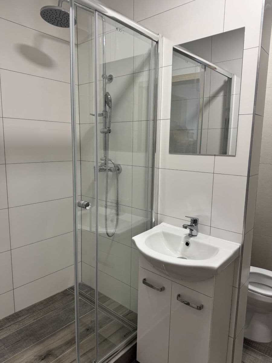 Prenájom bytu 2-izbový 43 m², Revoluční, Litoměřice, Ústecký kraj Prenájom bytu 2-izbový 43 m², Revoluční, Litoměřice, Ústecký kraj