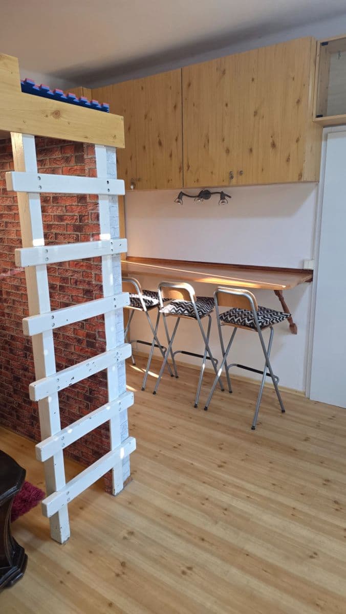 Prenájom bytu 1-izbový 24 m², Křížová, Praha, Praha Prenájom bytu 1-izbový 24 m², Křížová, Praha, Praha