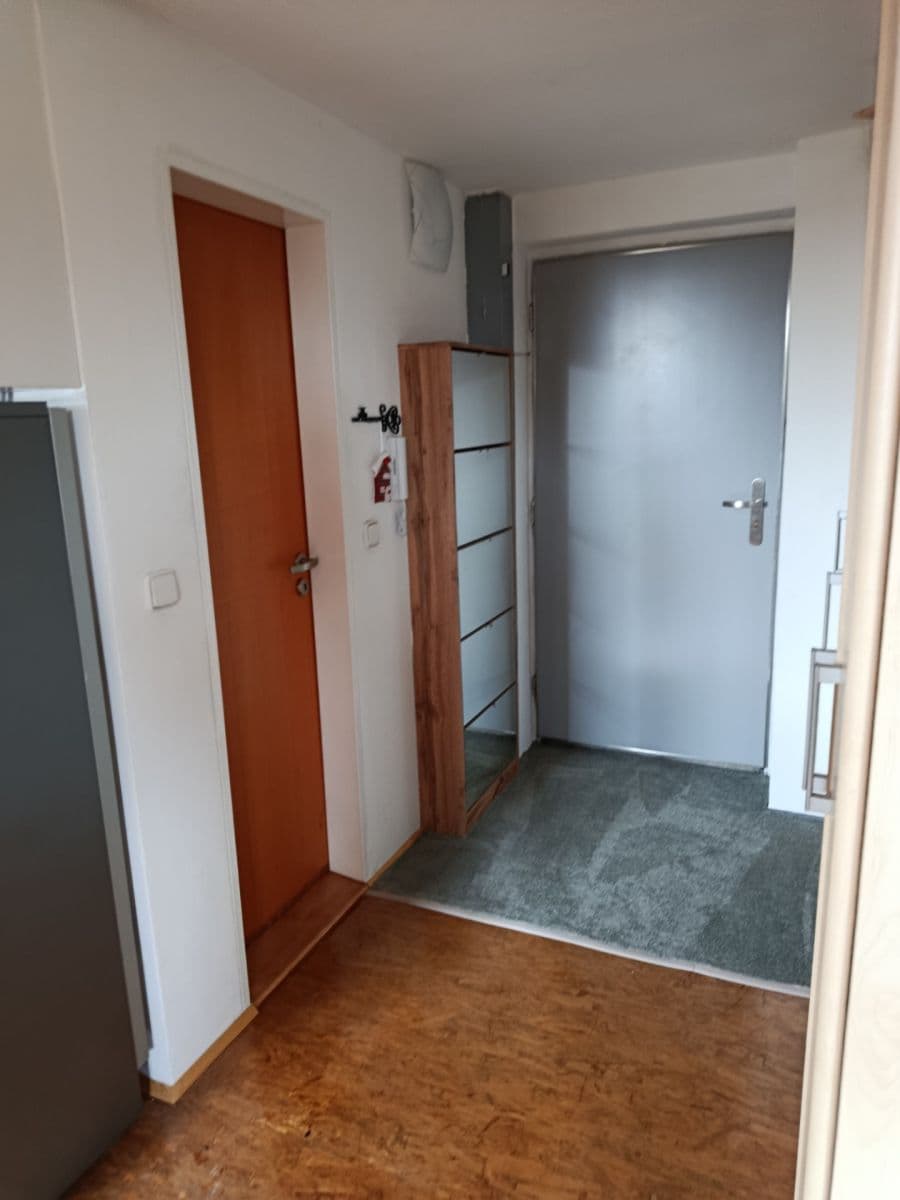 Prenájom bytu 1-izbový 50 m², Václavkova, Praha, Praha Prenájom bytu 1-izbový 50 m², Václavkova, Praha, Praha