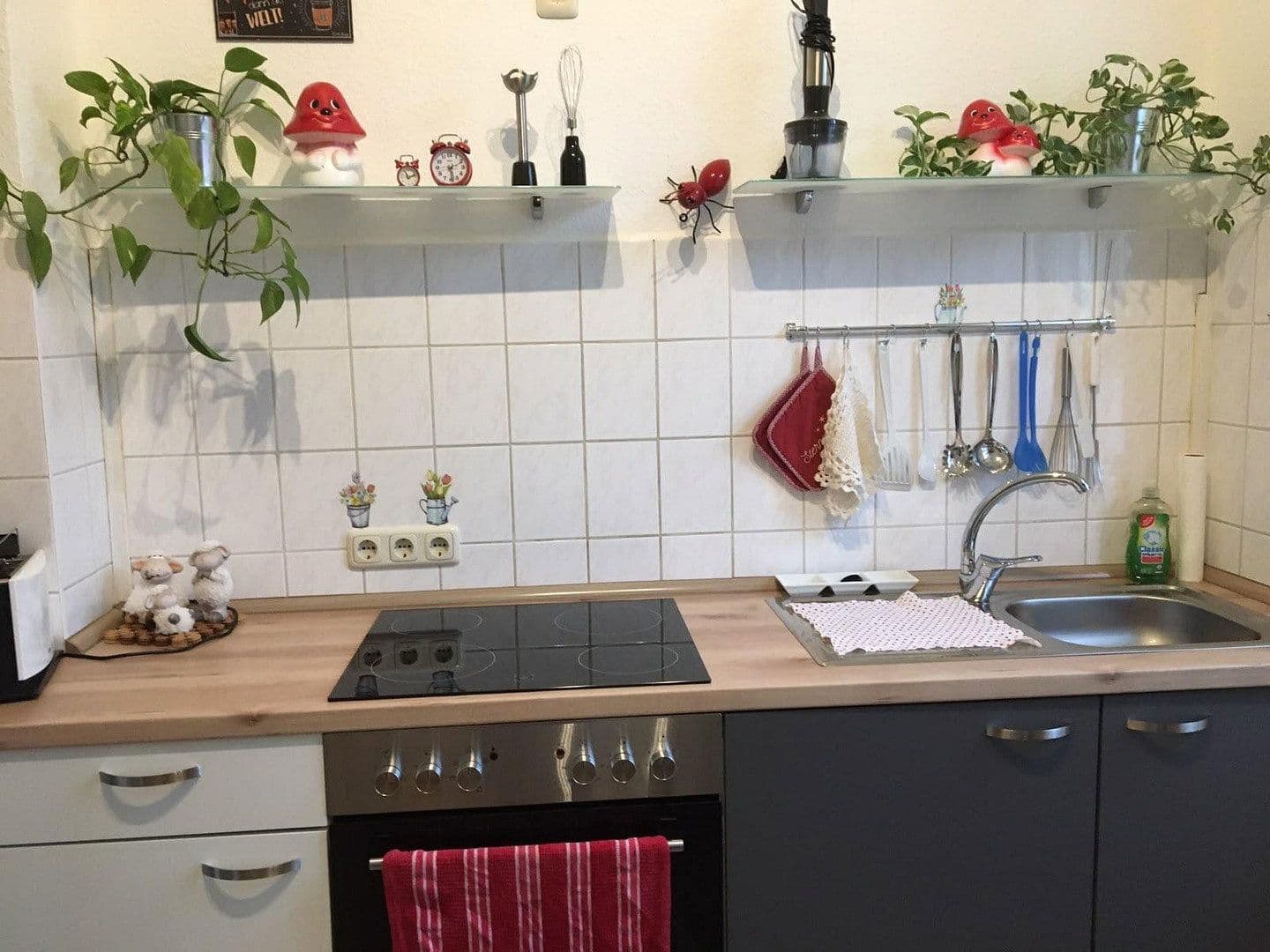 Prenájom bytu 3-izbový 72 m², Güstrow, Meklenbursko-Predpomoransko Prenájom bytu 3-izbový 72 m², Güstrow, Meklenbursko-Predpomoransko