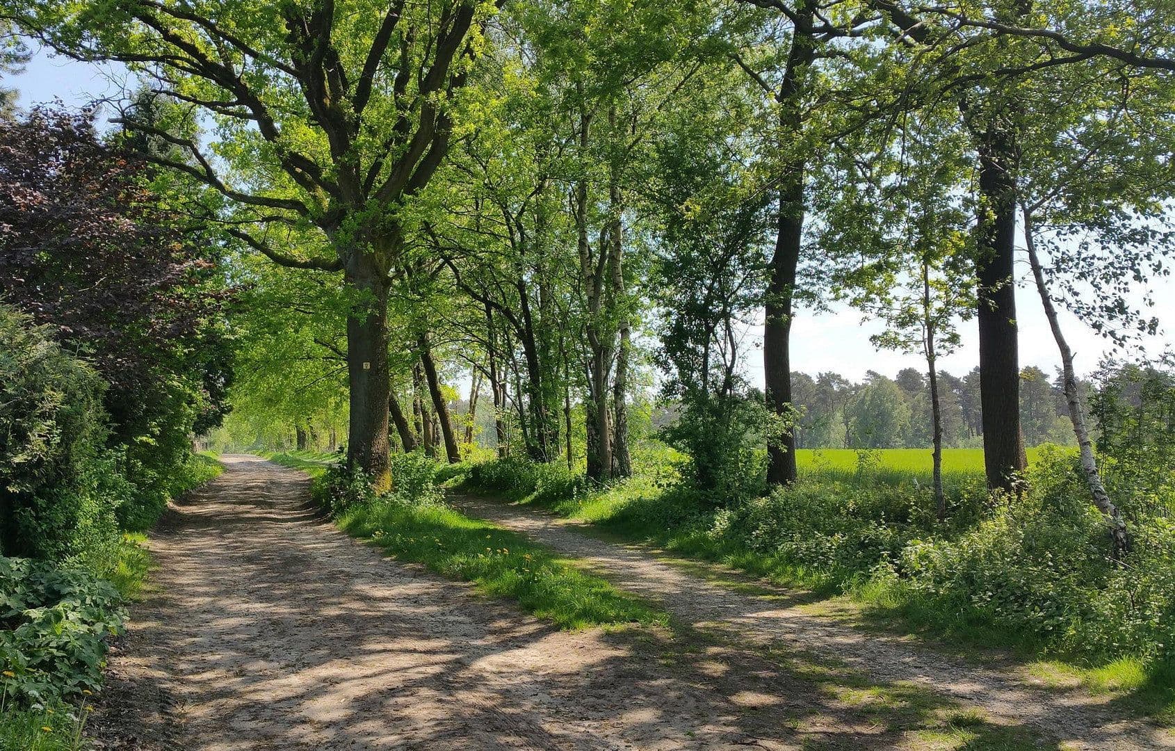 Predaj bytu 1-izbový 30 m², Lehmkuhle 1, Undeloh, Dolné Sasko Predaj bytu 1-izbový 30 m², Lehmkuhle 1, Undeloh, Dolné Sasko