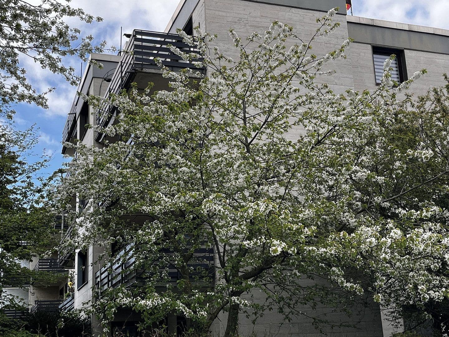 Prenájom bytu 3-izbový 92 m², Im Wohnpark 38, Bergheim, Severné Porýnie - Westfálsko Prenájom bytu 3-izbový 92 m², Im Wohnpark 38, Bergheim, Severné Porýnie - Westfálsko